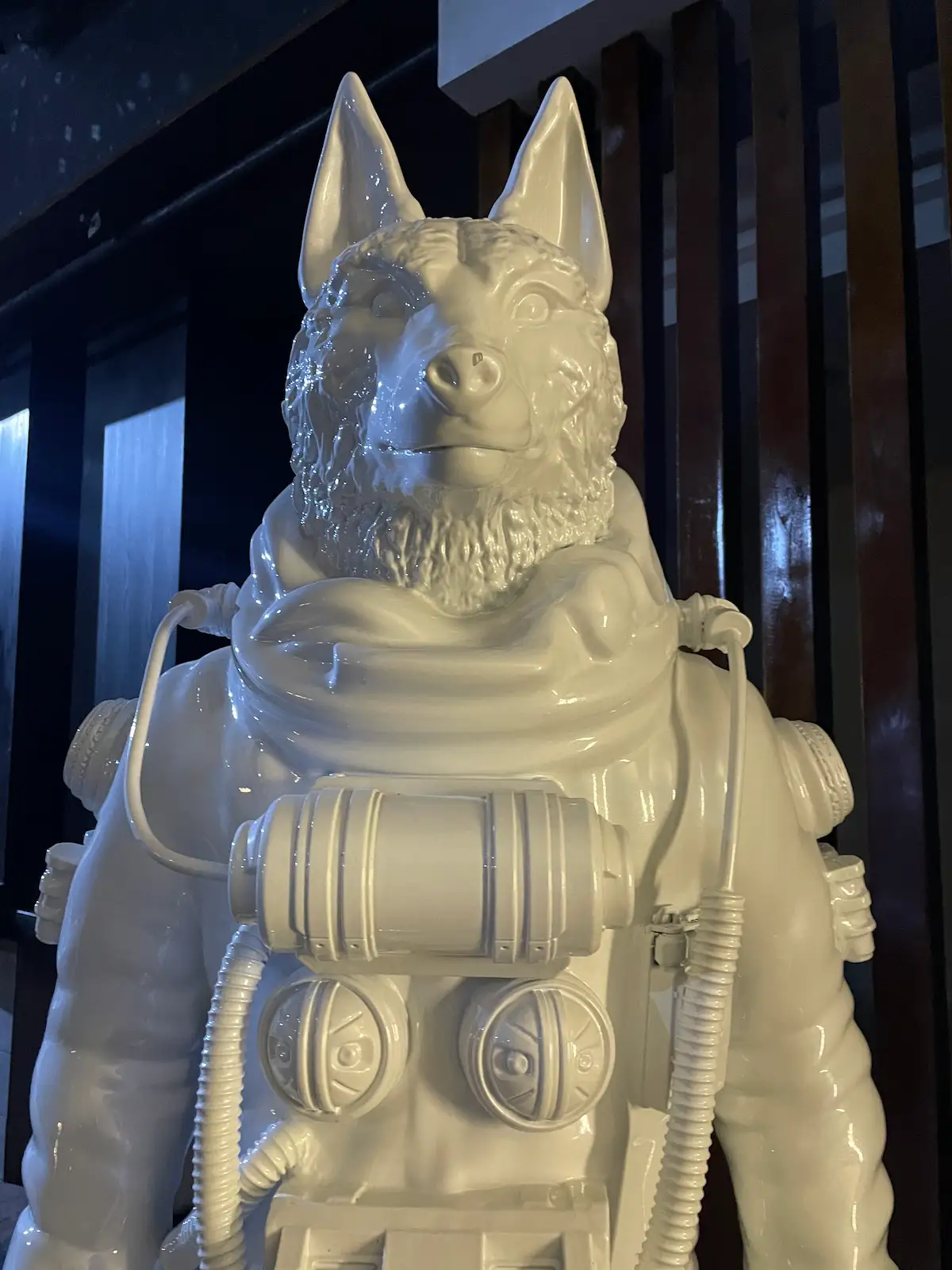 Space Sharm El Sheikh (40)